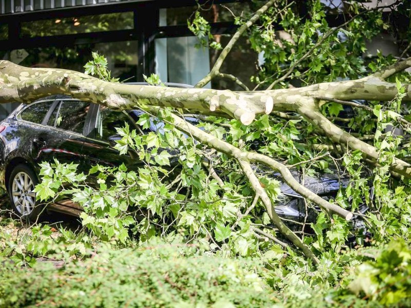 Düsseldorf wurde in der Nacht zum Dienstag von einer Unwetter-Katastrophe heimgesucht. Die traurige Bilanz: drei Tote, zehn Verletzte und Schäden in Höhe von zig Millionen Euro.