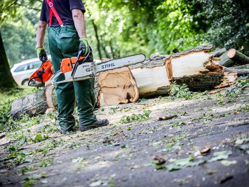 Düsseldorf wurde in der Nacht zum Dienstag von einer Unwetter-Katastrophe heimgesucht. Die traurige Bilanz: drei Tote, zehn Verletzte und Schäden in Höhe von zig Millionen Euro.