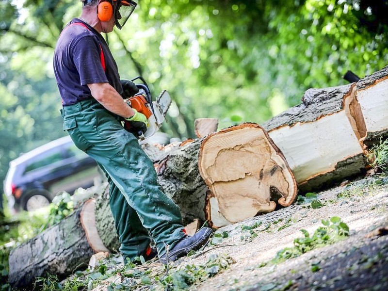 Düsseldorf wurde in der Nacht zum Dienstag von einer Unwetter-Katastrophe heimgesucht. Die traurige Bilanz: drei Tote, zehn Verletzte und Schäden in Höhe von zig Millionen Euro.