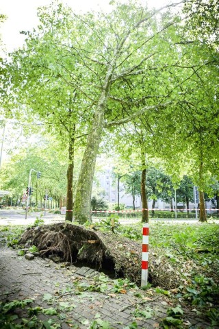 Düsseldorf wurde in der Nacht zum Dienstag von einer Unwetter-Katastrophe heimgesucht. Die traurige Bilanz: drei Tote, zehn Verletzte und Schäden in Höhe von zig Millionen Euro.