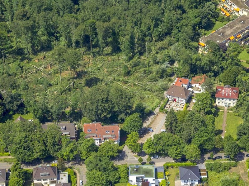 Den Essener Stadtwald und das Gebiet rund um den Baldeneysee hat das Unwetter am Pfingstmontag besonders stark getroffen.