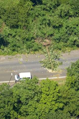 Ein umgekippter Baum auf der  Freiherr-vom-Stein-Straße in Essen.