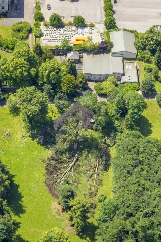 Auch im Villa Hügel-Park hat das Unwetter seine Spuren hinterlassen.