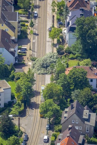 Die Sturmschäden reichen von Essen-Bredeney bis zum Stadtwald.