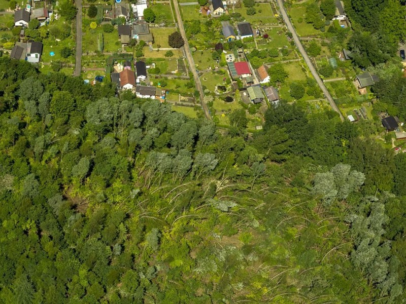 Sturmschäden in Bochum. Das Unwetter zog Pfingstmontag über Düsseldorf und das Ruhrgebiet.