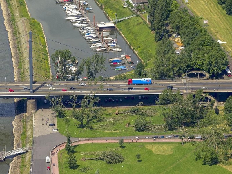 Zwischen der Oberkasseler Brücke und der Rheinkniebrücke wurden an beiden Ufern des Rheins Bäume entwurzelt.