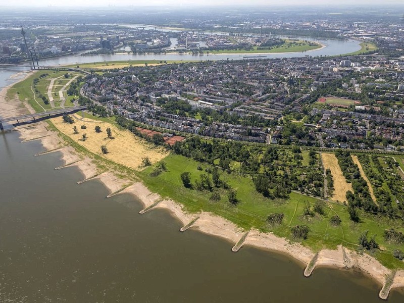 Zwischen der Oberkasseler Brücke und der Rheinkniebrücke wurden an beiden Ufern des Rheins Bäume entwurzelt.