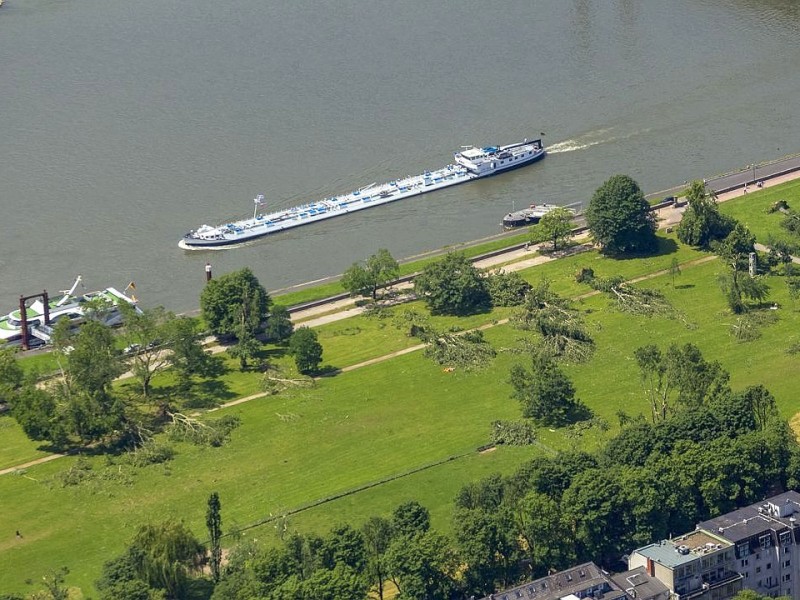 Zwischen der Oberkasseler Brücke und der Rheinkniebrücke wurden an beiden Ufern des Rheins Bäume entwurzelt.