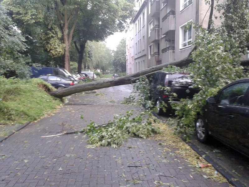 Leserfoto von Sarah Kolbinger. Sie schreibt: Das sind Bilder aus Mülheim an der Ruhr Styrum. Die Umgebung vom Rosenkamp / Marktstraße / Hinterhof ist sehr verwüstet. Bäume umgekippt auf Autos und in Häuser. Dachziegel sind von den Dächern geflogen und selbst dicke Steinplatten der Baustelle am Rosenkamp sind kaputt. Schilder umgerissen und weggeflogen samt Steinhalterung. Auf der Oberhausenerstraße sind Ampeln ausgefallen und umgekippt und dadurch eine Leitungen kaputt.