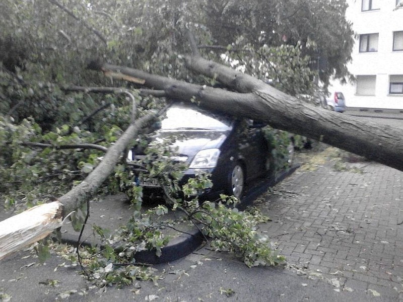 Leserfoto von Sarah Kolbinger. Sie schreibt: Das sind Bilder aus Mülheim an der Ruhr Styrum. Die Umgebung vom Rosenkamp / Marktstraße / Hinterhof ist sehr verwüstet. Bäume umgekippt auf Autos und in Häuser. Dachziegel sind von den Dächern geflogen und selbst dicke Steinplatten der Baustelle am Rosenkamp sind kaputt. Schilder umgerissen und weggeflogen samt Steinhalterung. Auf der Oberhausenerstraße sind Ampeln ausgefallen und umgekippt und dadurch eine Leitungen kaputt.