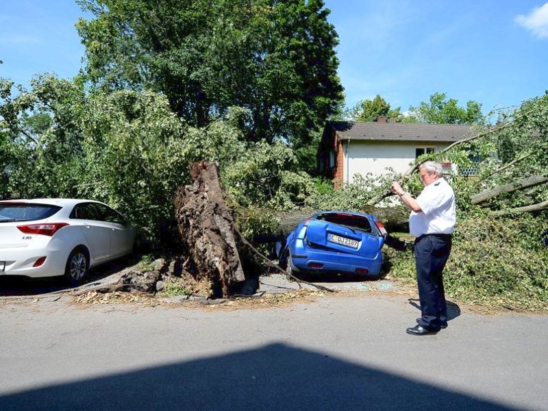 In Essen-Holsterhausen, auf der Planckstraße, sind immer noch viele Autos unter Baumtrümmern begraben.  Bestandsaufnahmen durch Bernd Klösgen, Feuerwehrchef aus Erftstadt. Foto:  Kerstin Kokoska