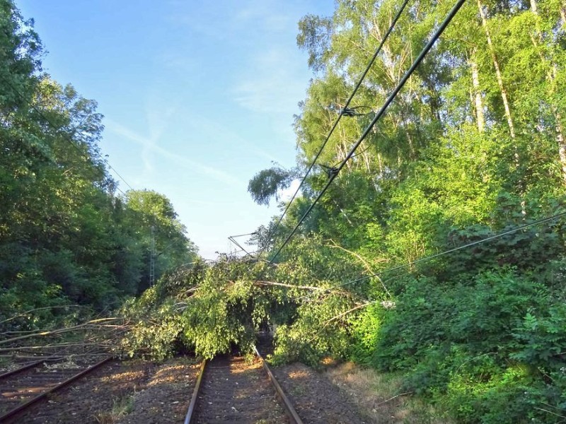 So sah es am Donnerstag noch auf der S-Bahnstrecke zwischen Essen und Bochum aus, hier in Wattenscheid.