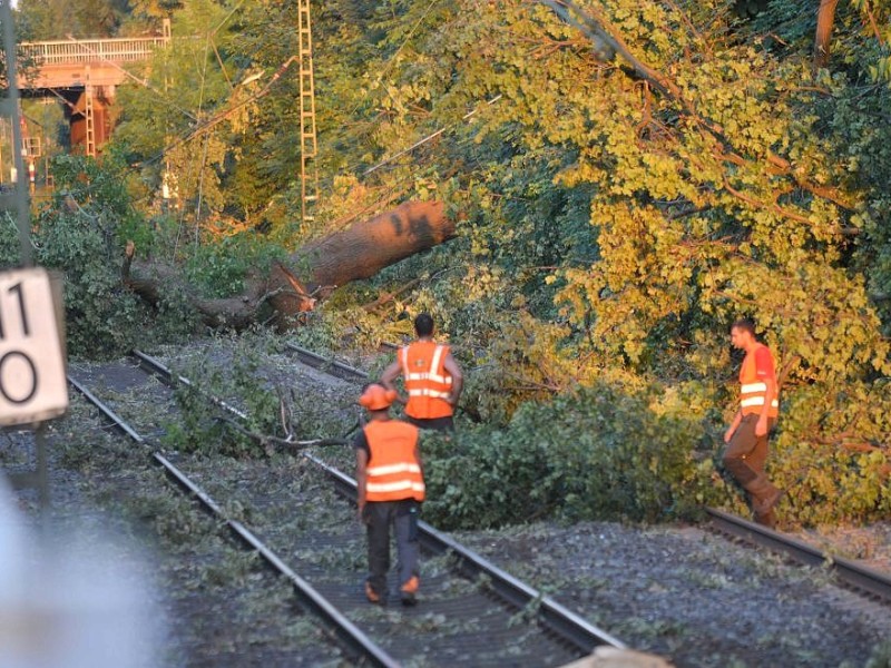 So sah es am Donnerstag noch auf der S-Bahnstrecke zwischen Essen und Bochum aus, hier in Wattenscheid.