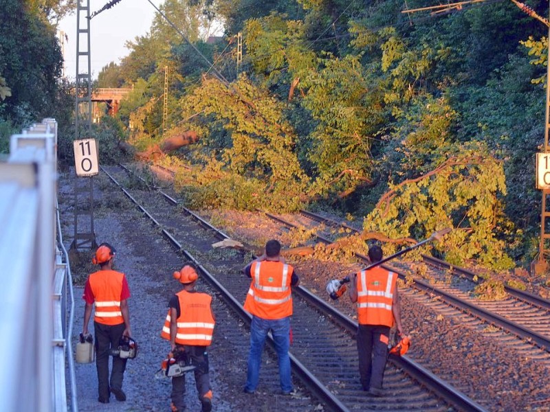 So sah es am Donnerstag noch auf der S-Bahnstrecke zwischen Essen und Bochum aus, hier in Wattenscheid.