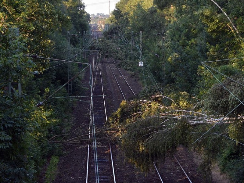 So sah es am Donnerstag noch auf der S-Bahnstrecke zwischen Essen und Bochum aus, hier in Wattenscheid.