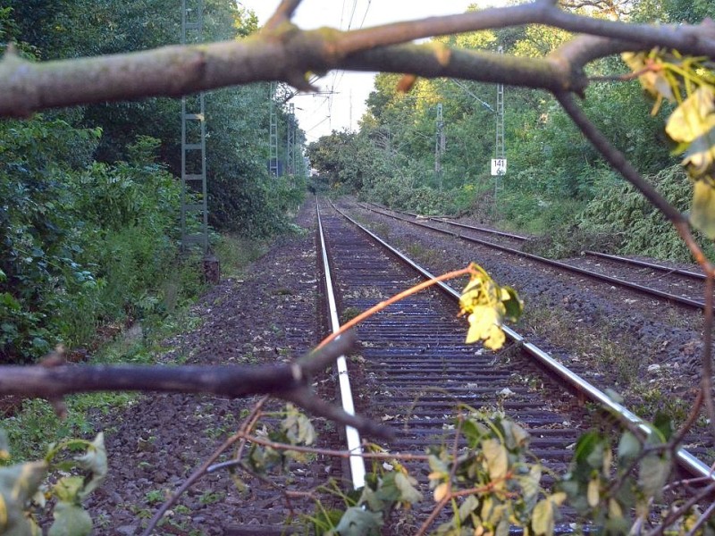 So sah es am Donnerstag noch auf der S-Bahnstrecke zwischen Essen und Bochum aus, hier in Wattenscheid.