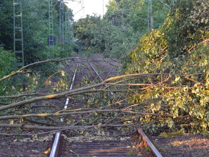 So sah es am Donnerstag noch auf der S-Bahnstrecke zwischen Essen und Bochum aus, hier in Wattenscheid.