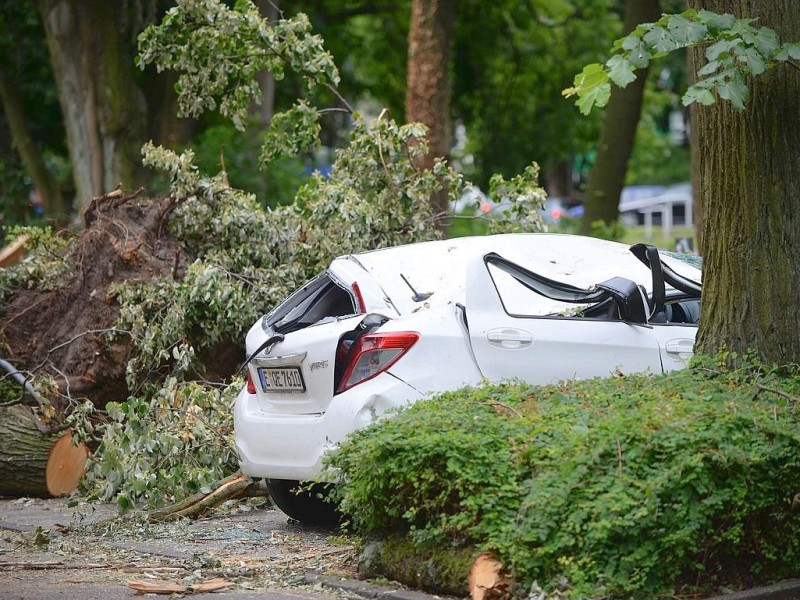 Der Haumannplatz fünf Tage nach dem Sturm.Foto: Kerstin Kokoska