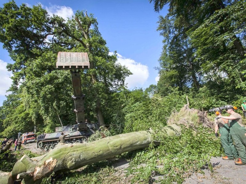 Bundeswehrpioniere helfen in Düsseldorf dabei, von Sturm Ela umgeworfene Bäume zu räumen.