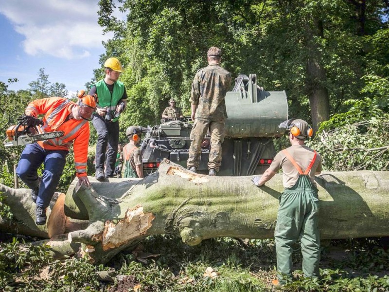 Bundeswehrpioniere helfen in Düsseldorf dabei, von Sturm Ela umgeworfene Bäume zu räumen.