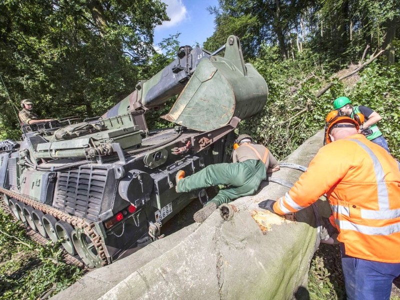 Bundeswehrpioniere helfen in Düsseldorf dabei, von Sturm Ela umgeworfene Bäume zu räumen.