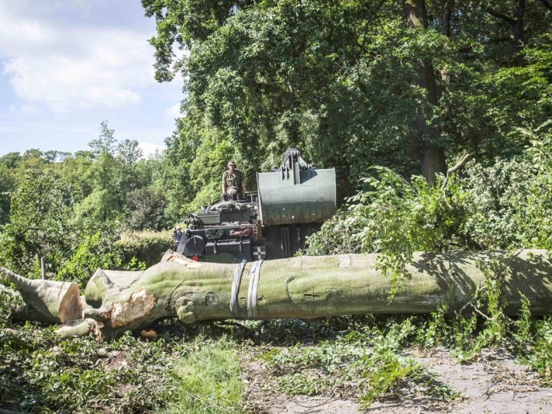 Bundeswehrpioniere helfen in Düsseldorf dabei, von Sturm Ela umgeworfene Bäume zu räumen.