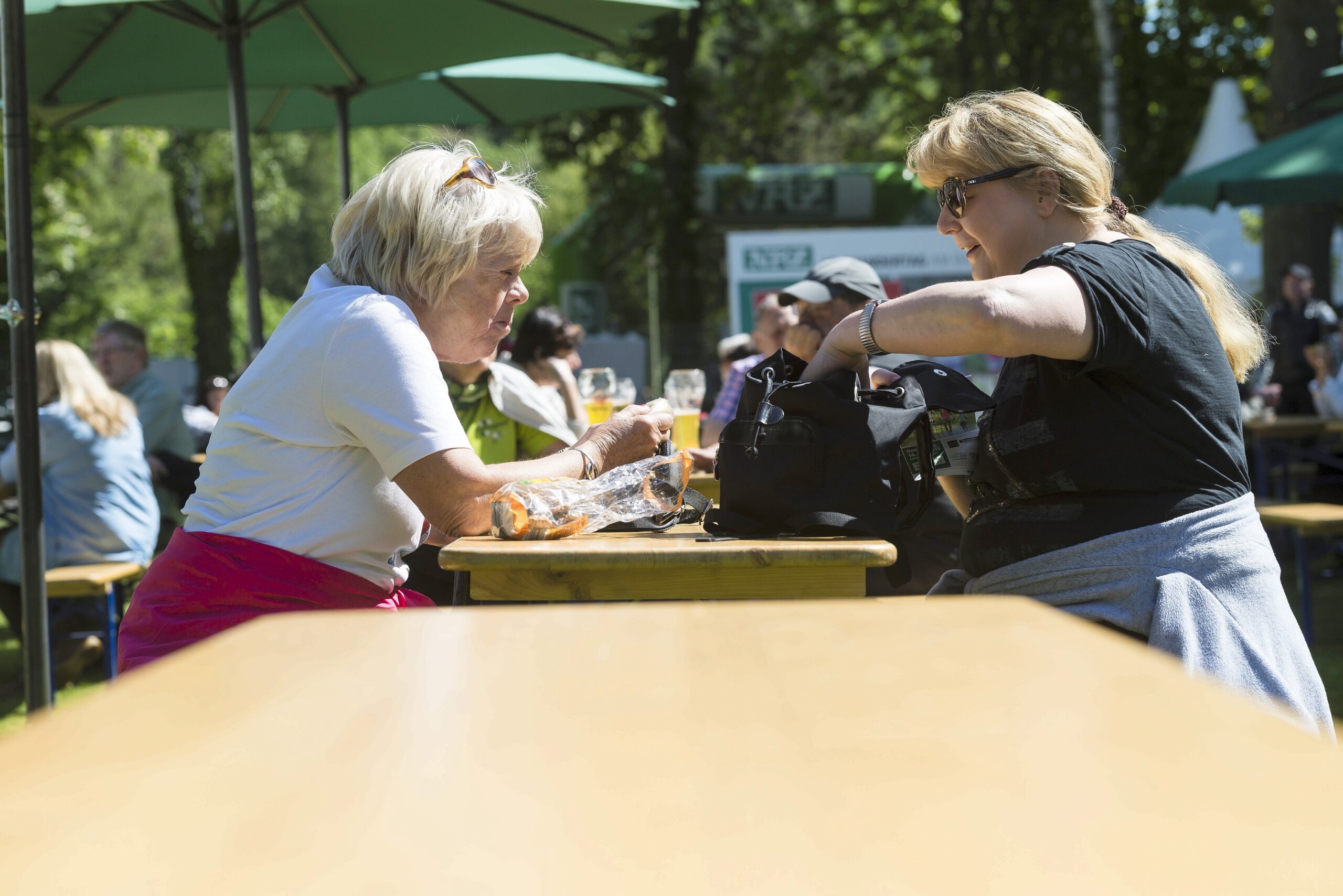 Strahlender Sonnenschein beim NRZ Wandertag 2015 am Baldeneysee.