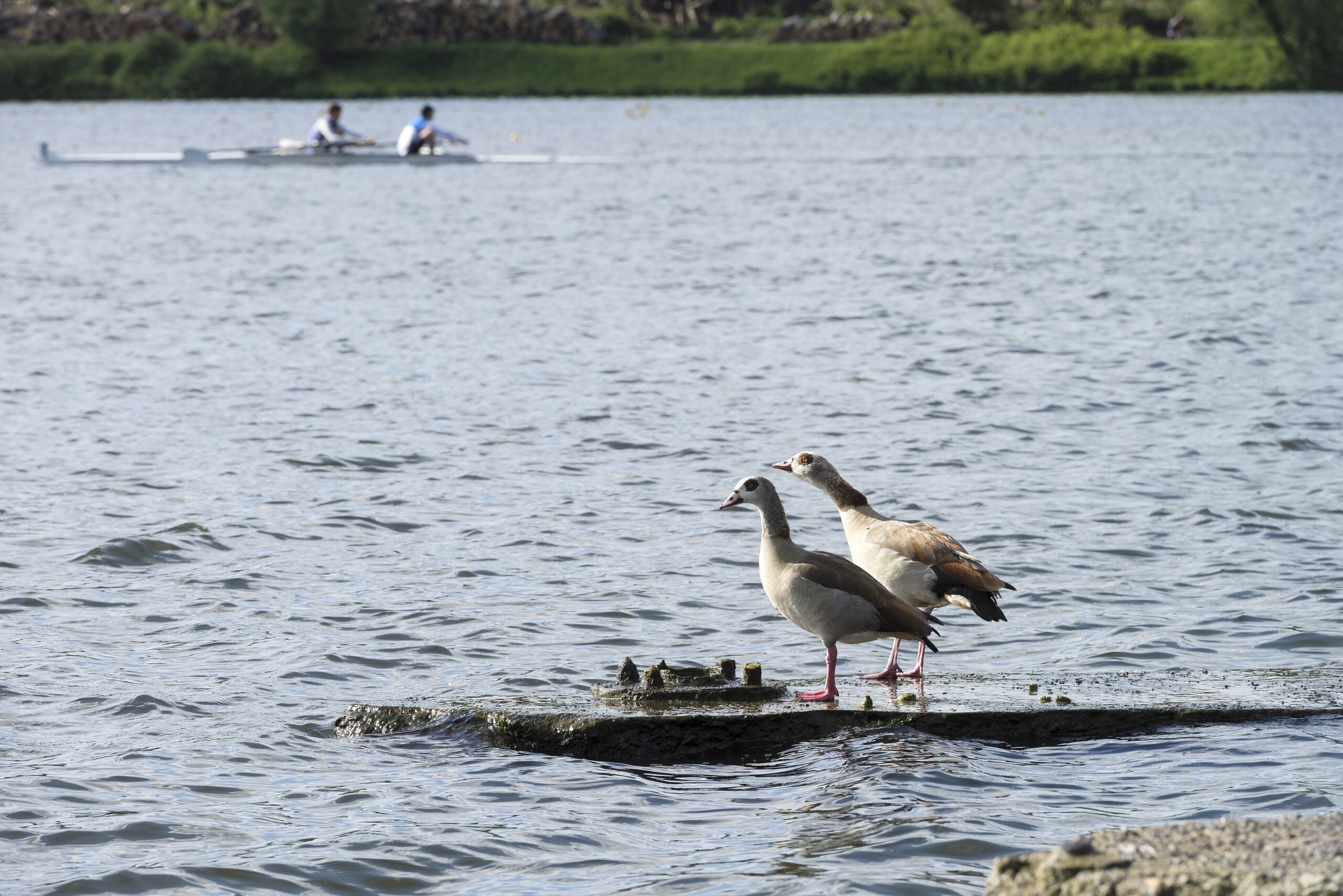 Strahlender Sonnenschein beim NRZ Wandertag 2015 am Baldeneysee.