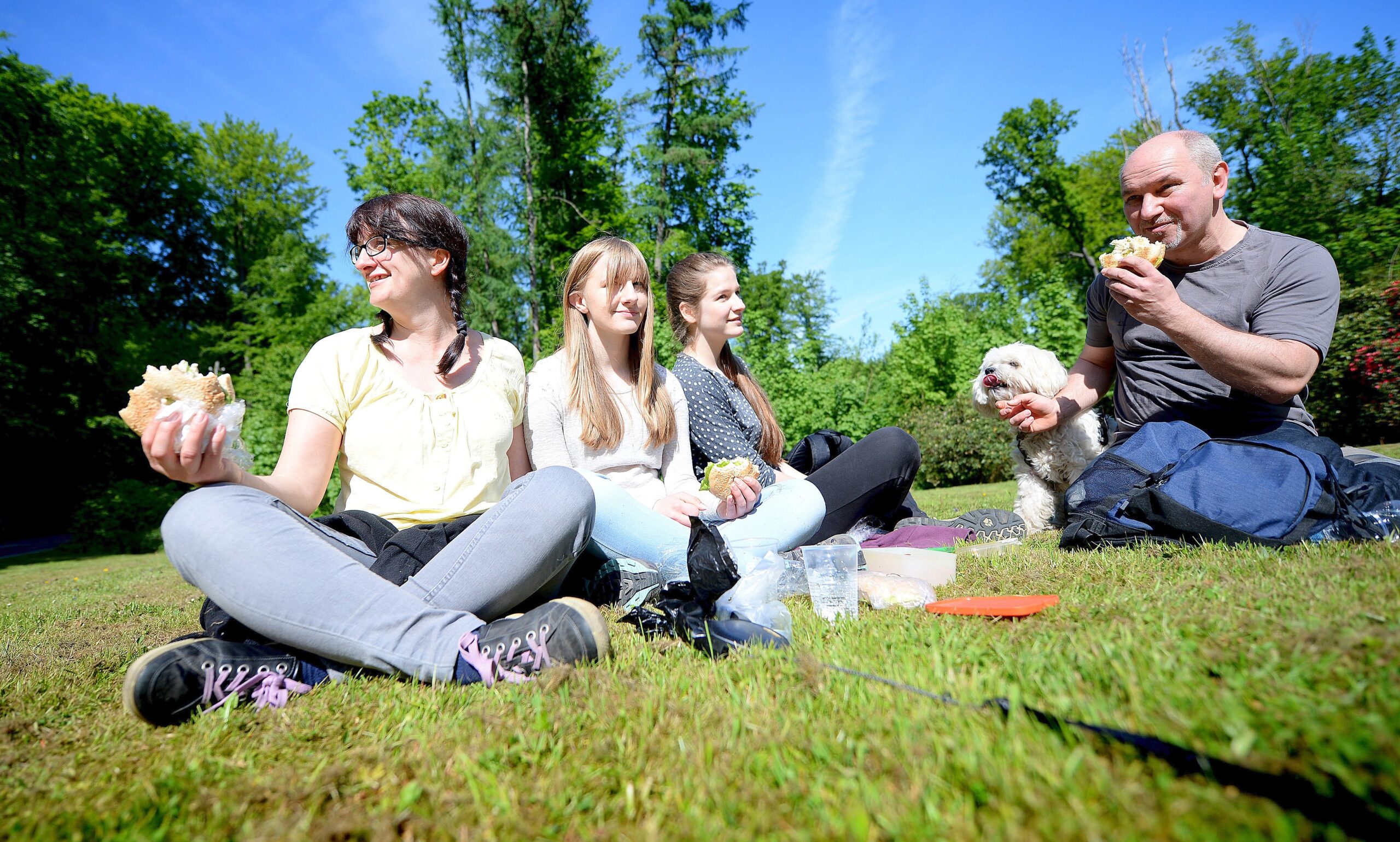 Strahlender Sonnenschein beim NRZ Wandertag 2015 am Baldeneysee.