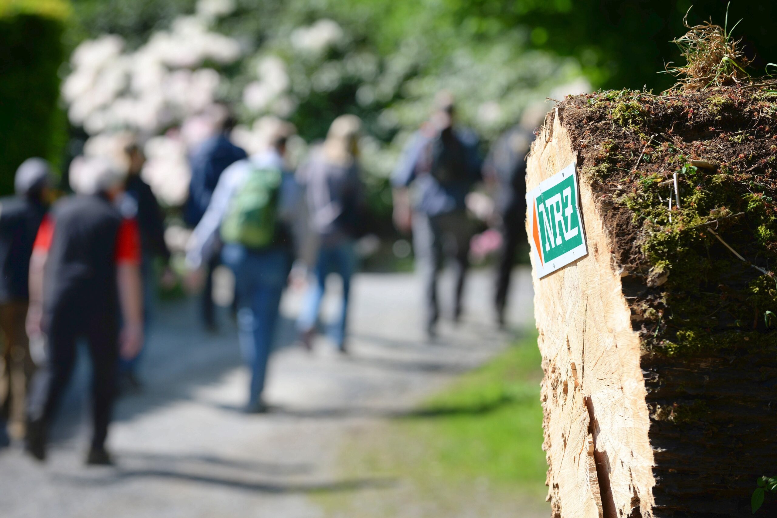 Strahlender Sonnenschein beim NRZ Wandertag 2015 am Baldeneysee.