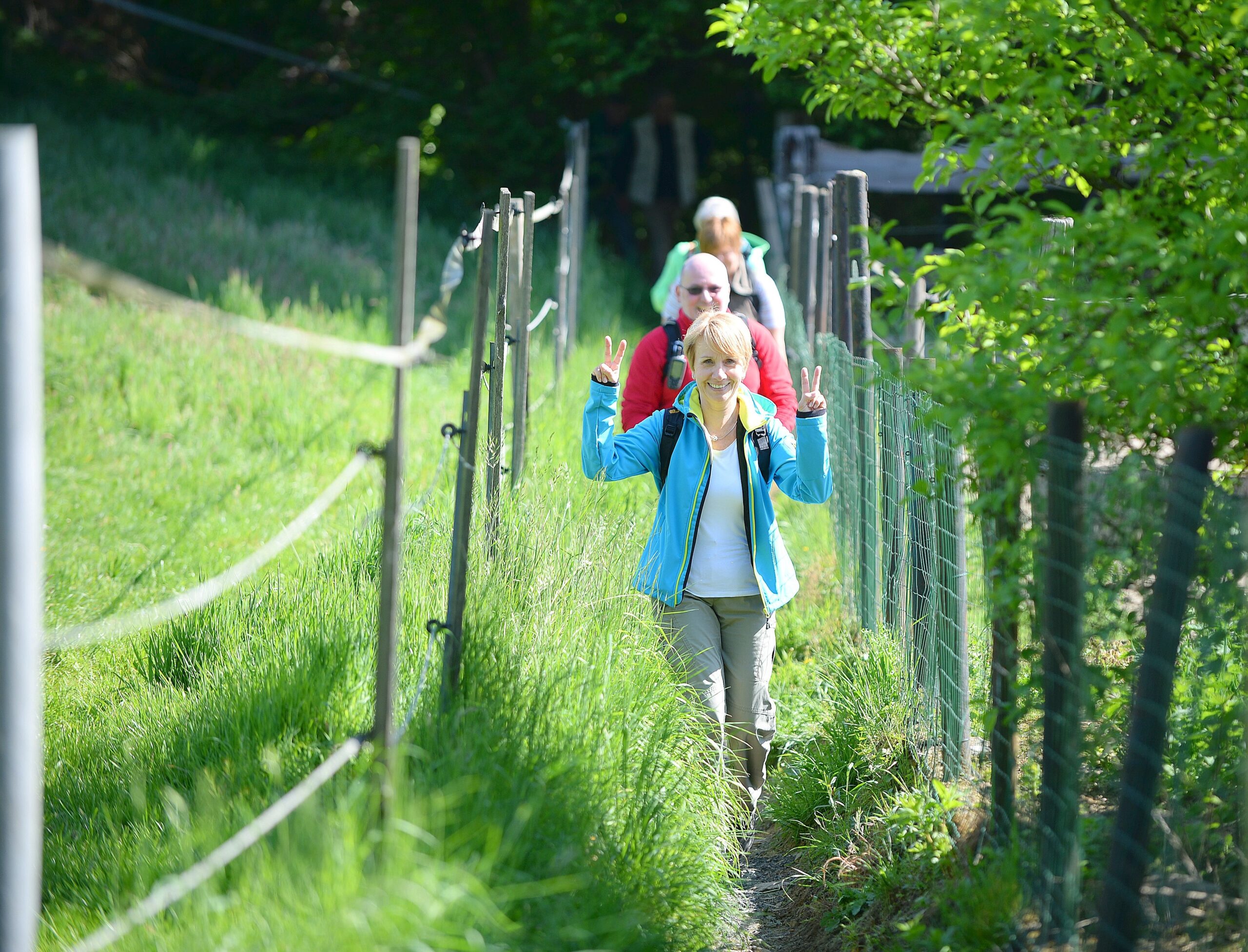 Strahlender Sonnenschein beim NRZ Wandertag 2015 am Baldeneysee.