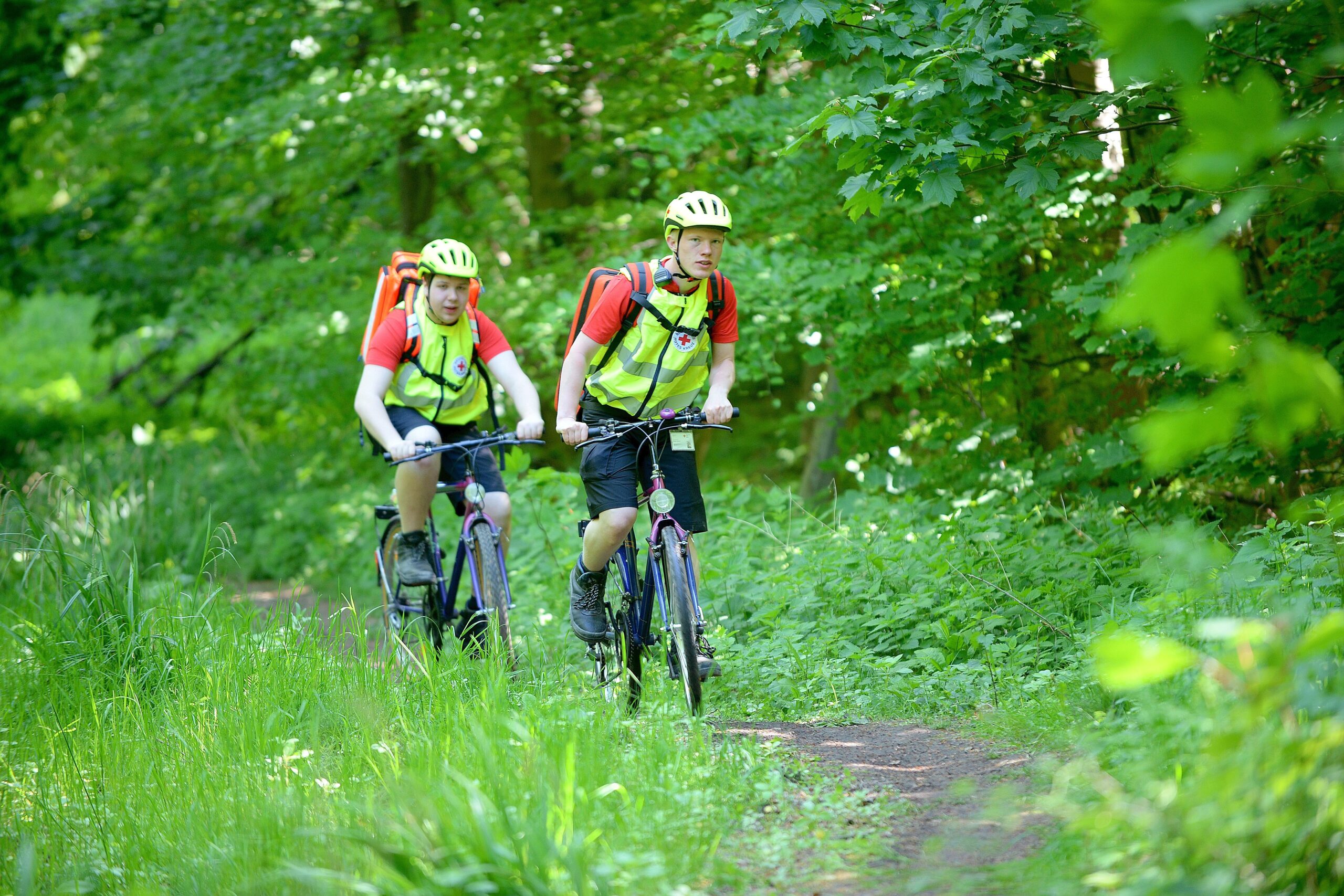 Strahlender Sonnenschein beim NRZ Wandertag 2015 am Baldeneysee.