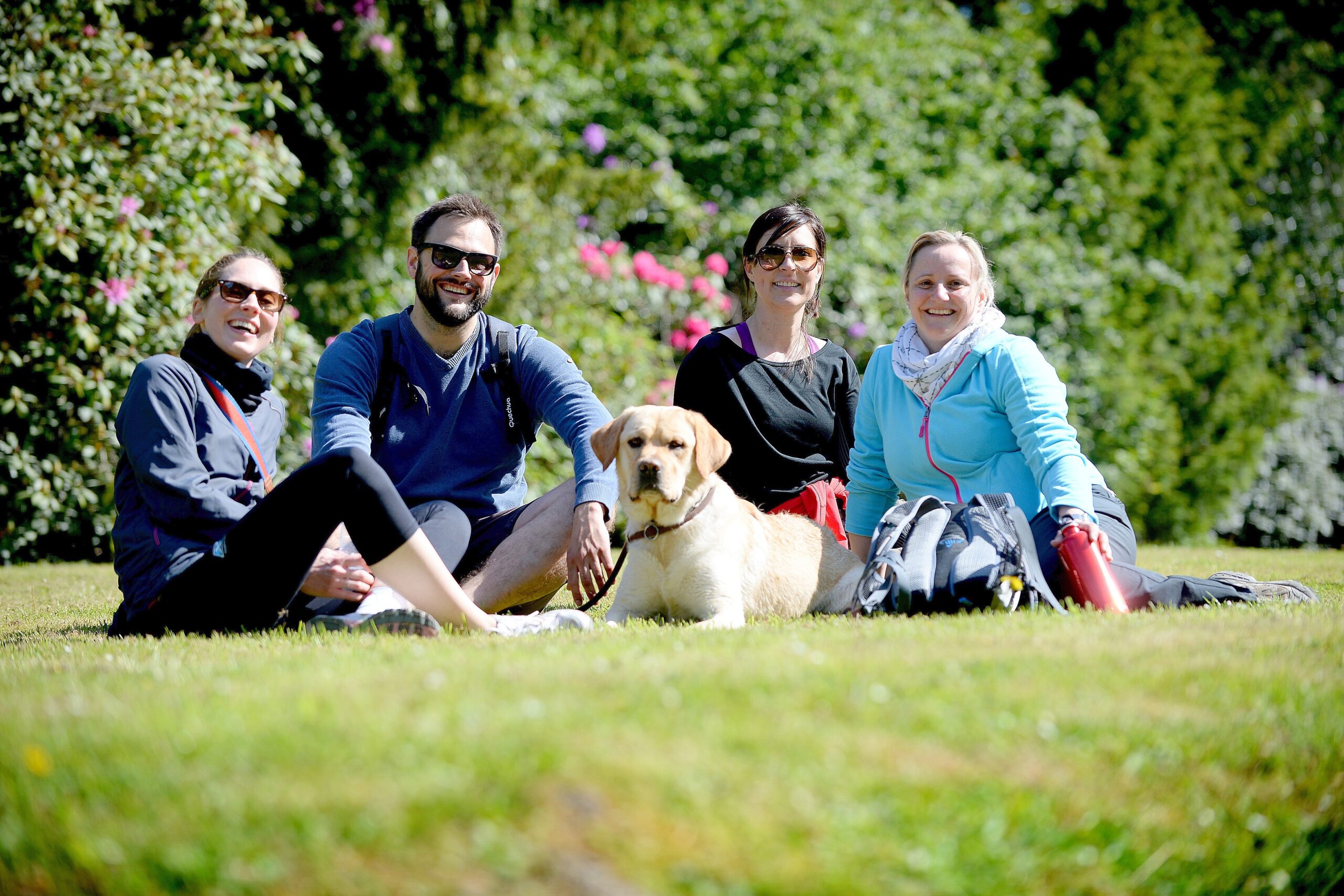 Strahlender Sonnenschein beim NRZ Wandertag 2015 am Baldeneysee.