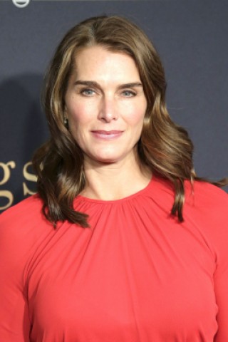 Brooke Shields bei der Premiere von Kingsmen: The Secret Service in New York.