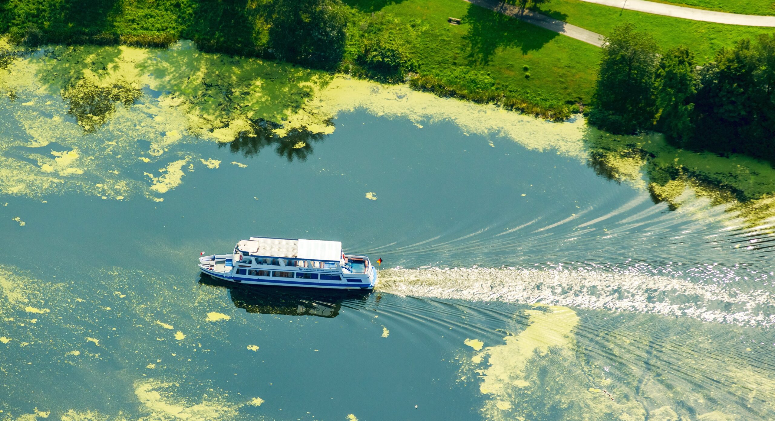 Wasserpest, Elodea, das Fahrgastschiff Schwalbe II legt auf der Wittener Seite in Heveney am Kemnader Stausee und nimmt Fahrgäste auf,  Bochum, Ruhrgebiet, Nordrhein-Westfalen, Deutschland