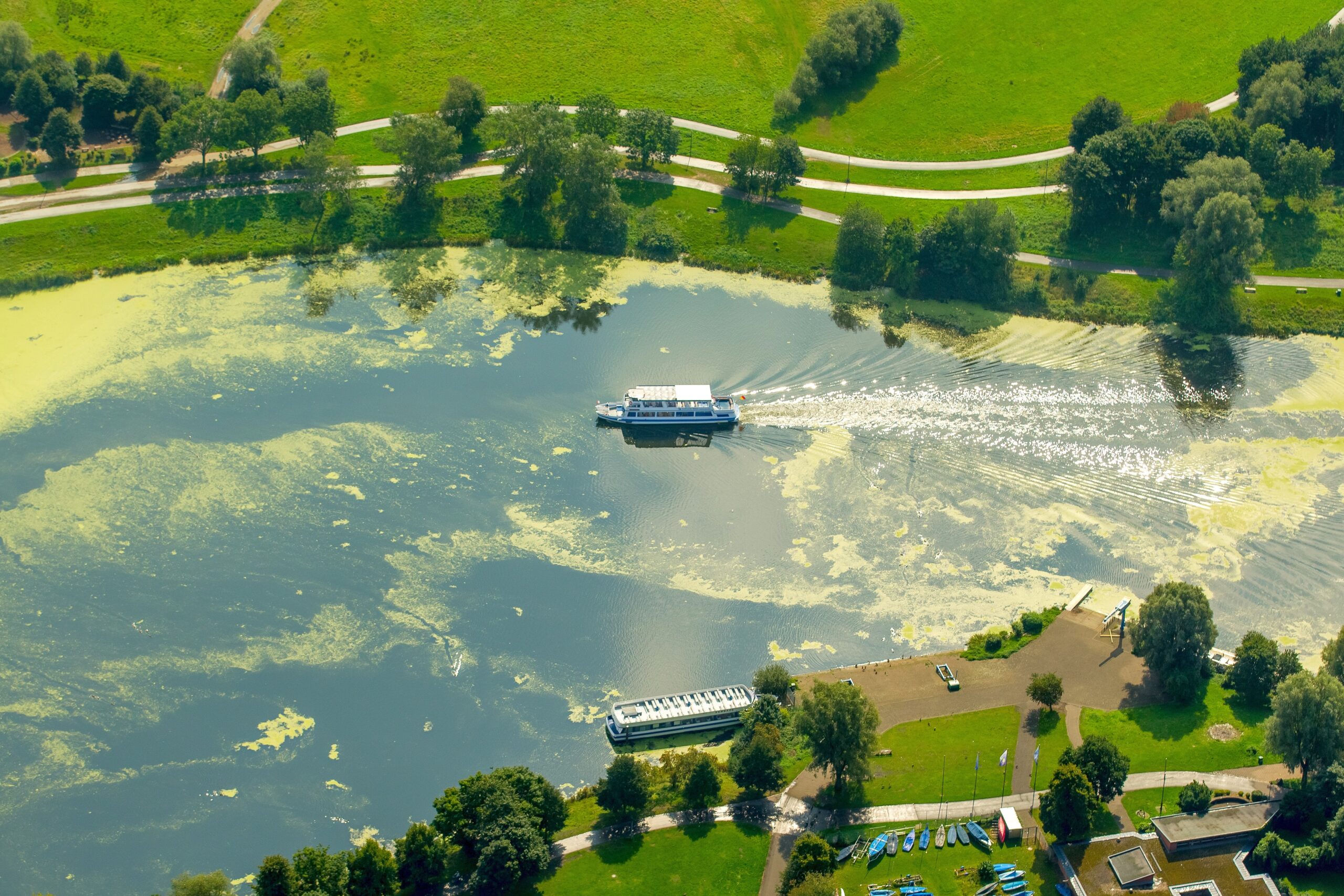 Wasserpest, Elodea, das Fahrgastschiff Schwalbe II legt auf der Wittener Seite in Heveney am Kemnader Stausee und nimmt Fahrgäste auf,  Bochum, Ruhrgebiet, Nordrhein-Westfalen, Deutschland