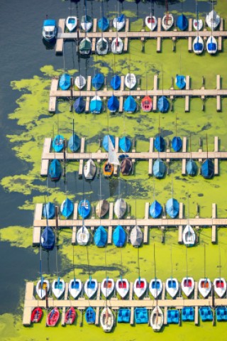 Wasserpest, Elodea, Segelbootanleger mit Wasserpest auf der Bochumer Seite in Heveney am Kemnader Stausee,  Witten, Ruhrgebiet, Nordrhein-Westfalen, Deutschland