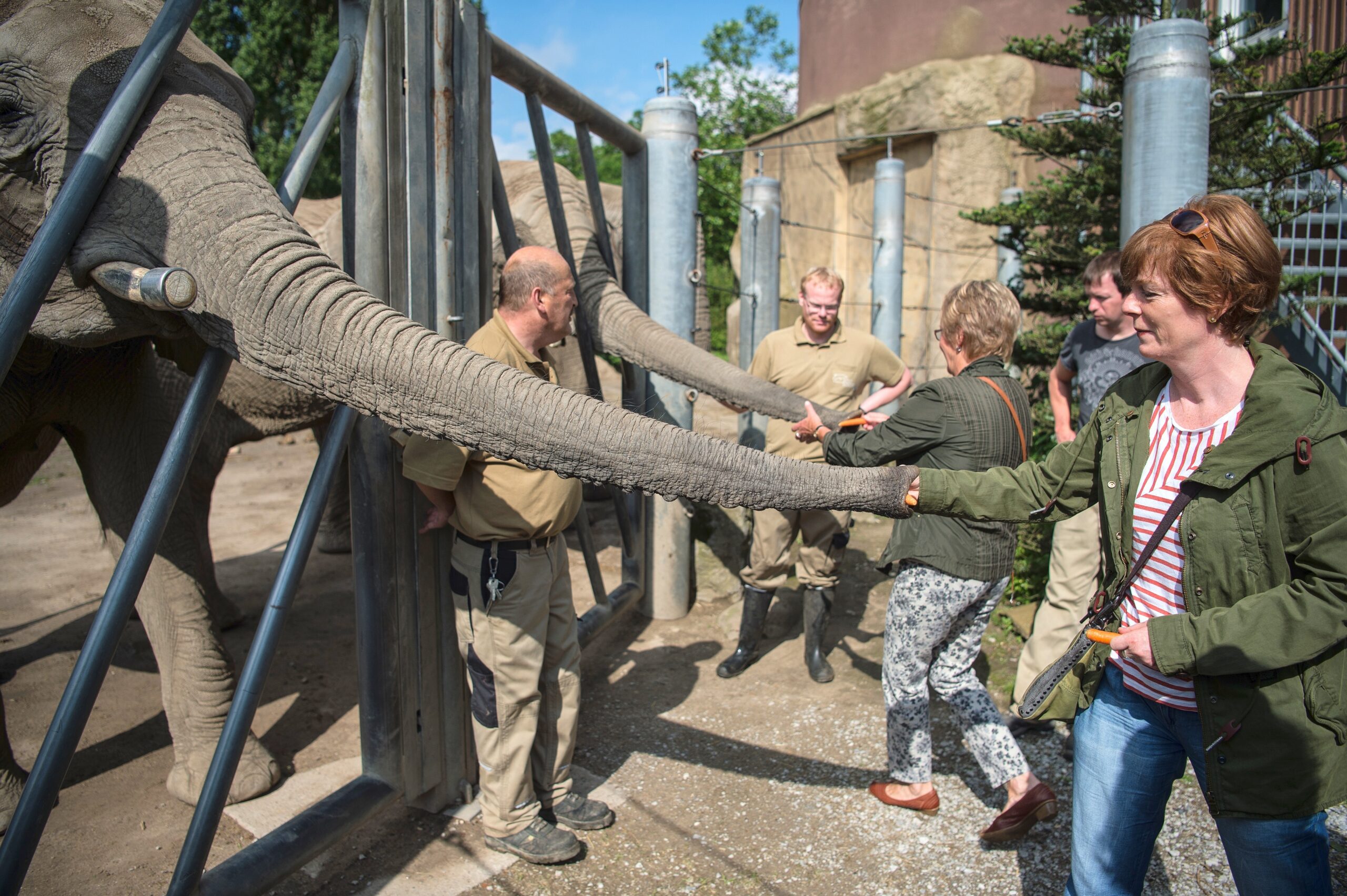 NRZ-Leser blicken im Zoo Duisburg hinter die Kulissen.