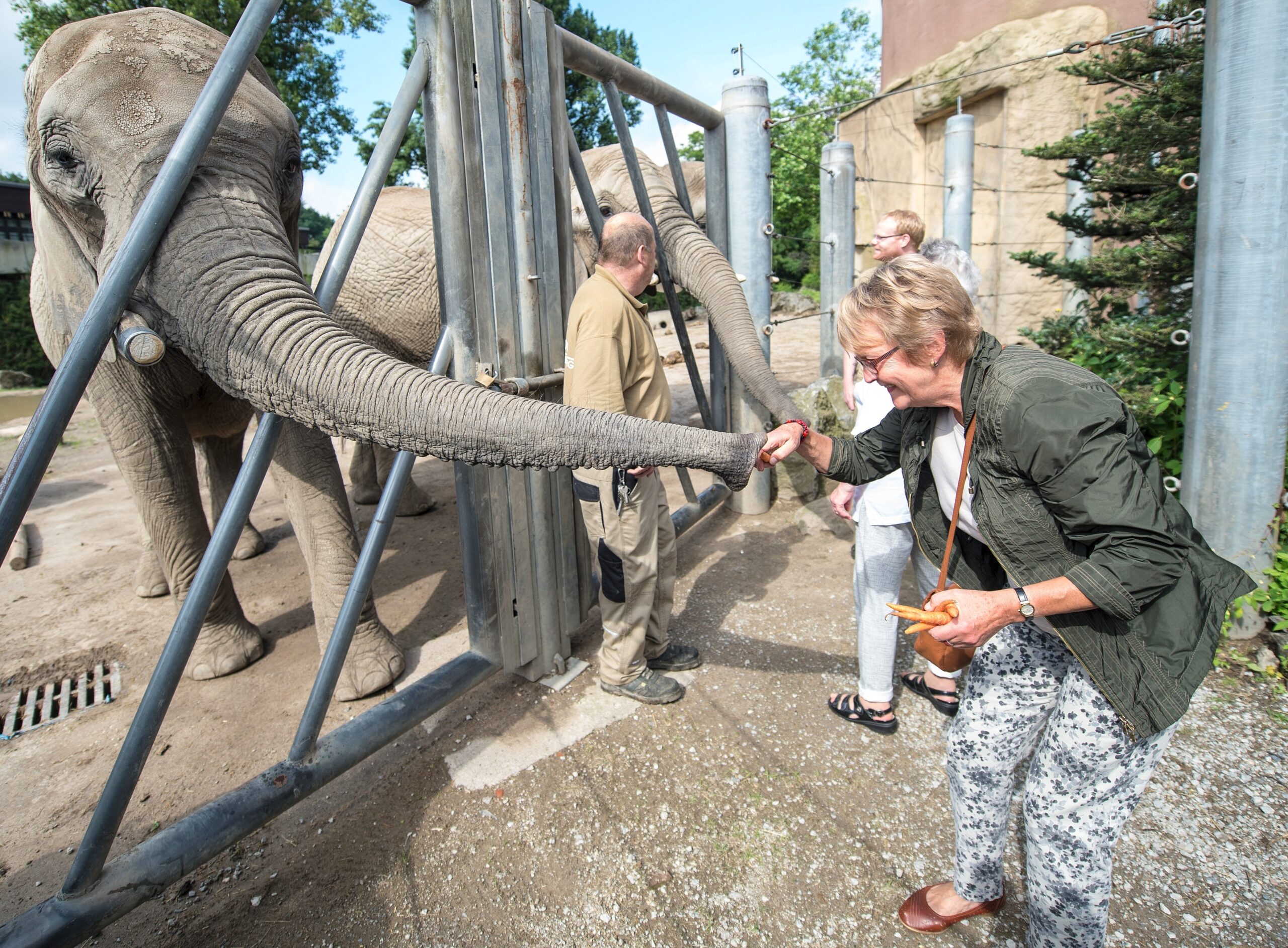 NRZ-Leser blicken im Zoo Duisburg hinter die Kulissen.