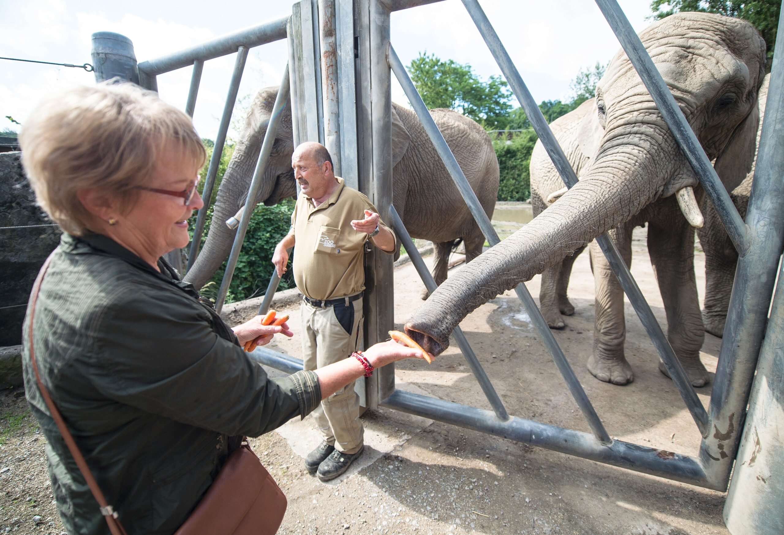 NRZ-Leser blicken im Zoo Duisburg hinter die Kulissen.