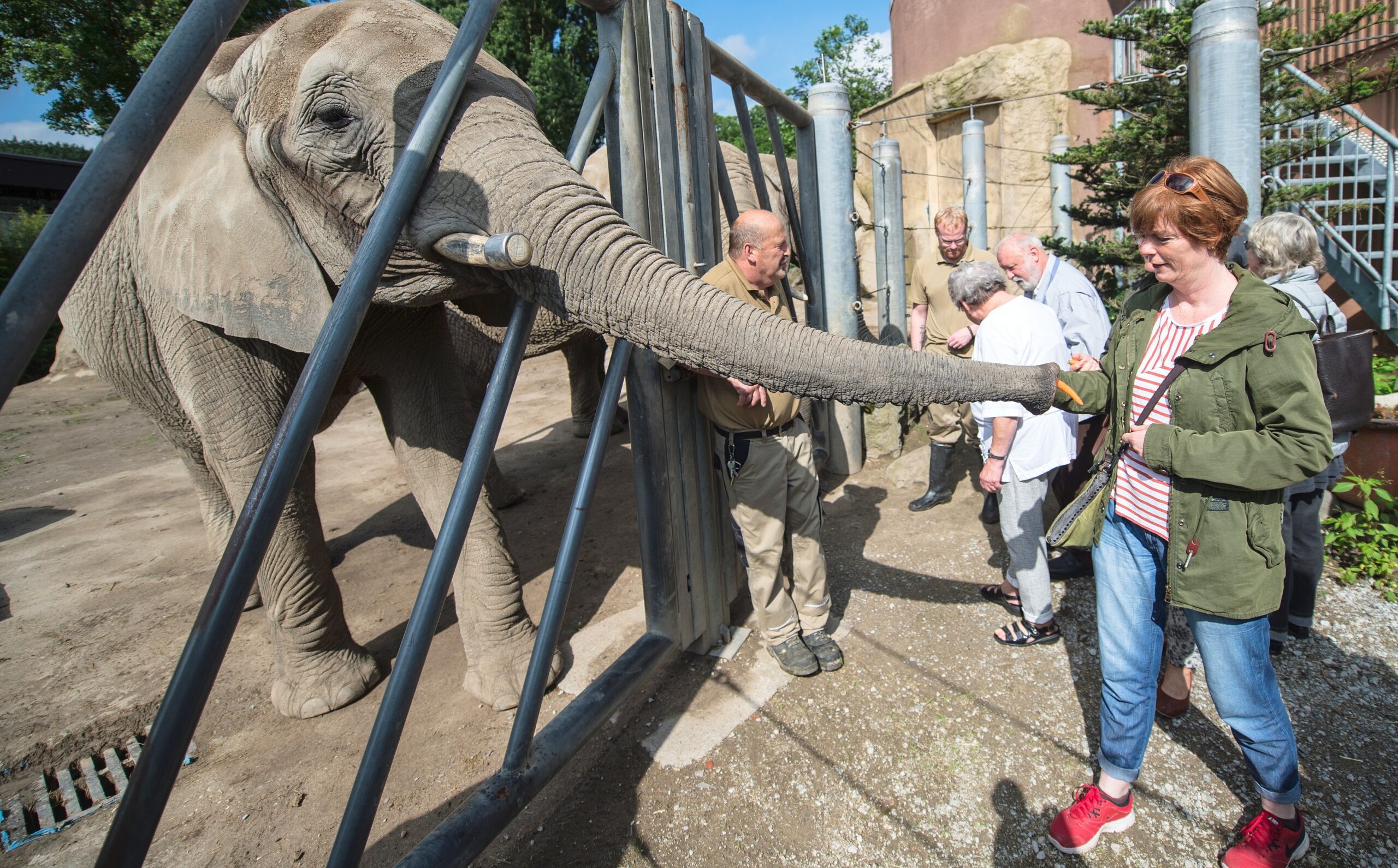 NRZ-Leser blicken im Zoo Duisburg hinter die Kulissen.