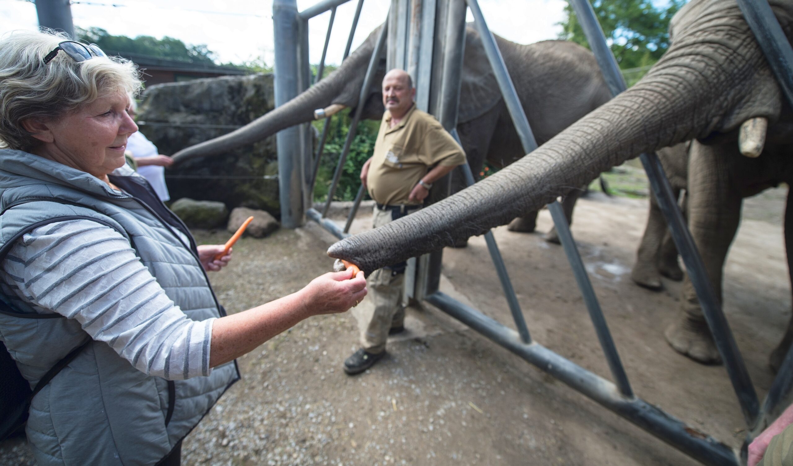 NRZ-Leser blicken im Zoo Duisburg hinter die Kulissen.