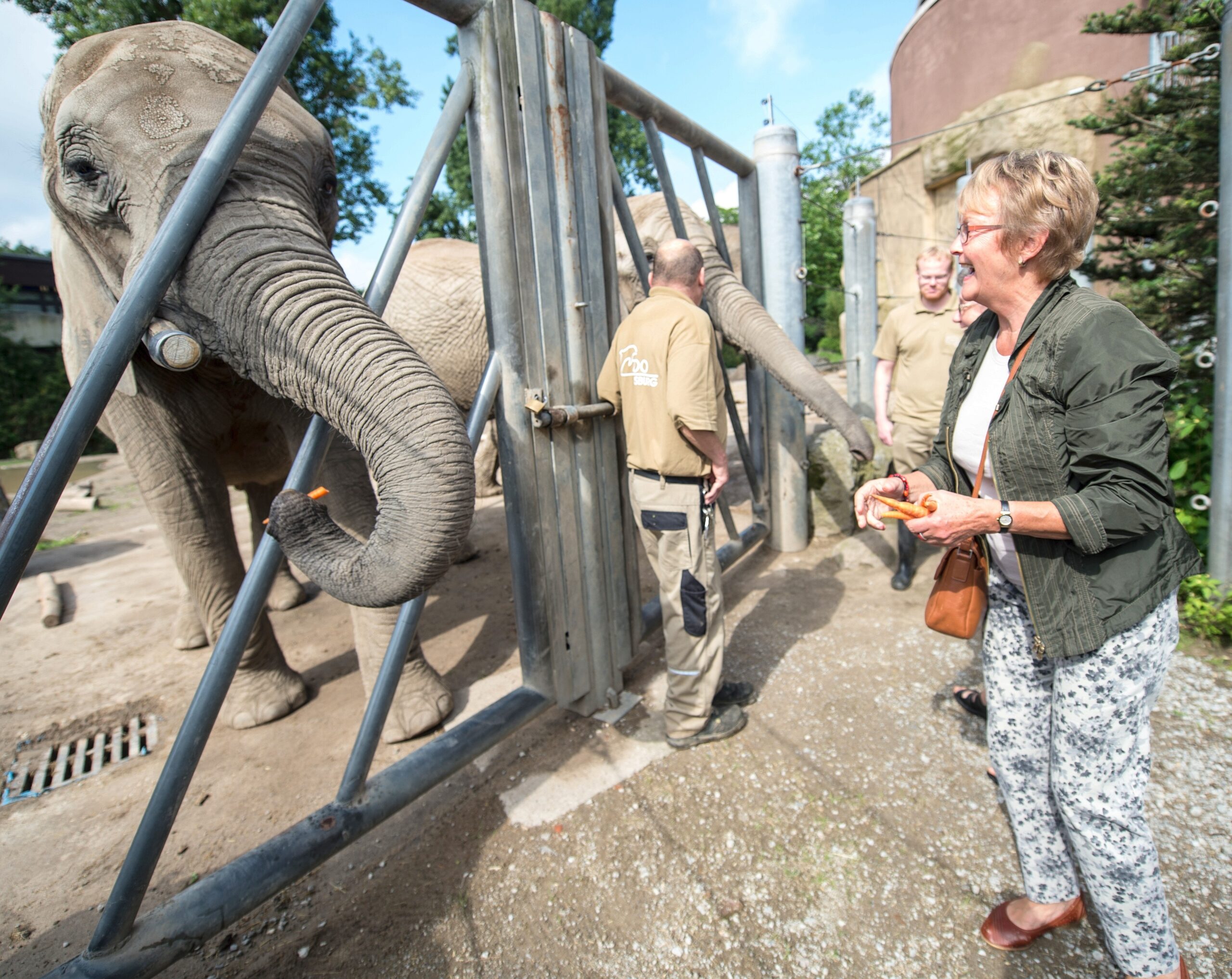 NRZ-Leser blicken im Zoo Duisburg hinter die Kulissen.