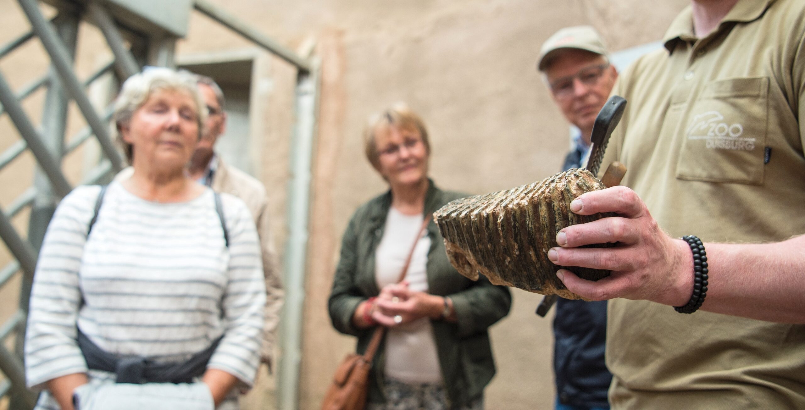 NRZ-Leser blicken im Zoo Duisburg hinter die Kulissen.