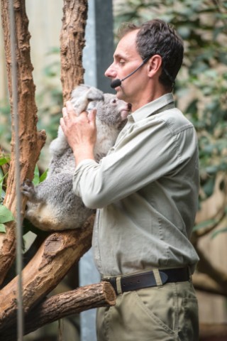 NRZ-Leser blicken im Zoo Duisburg hinter die Kulissen.