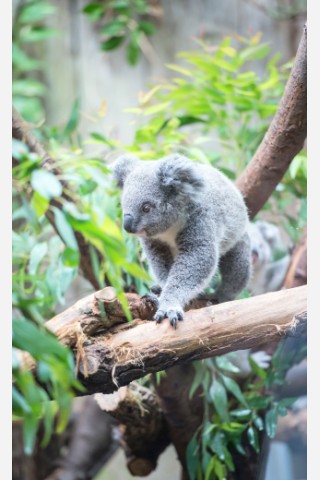 NRZ-Leser blicken im Zoo Duisburg hinter die Kulissen.