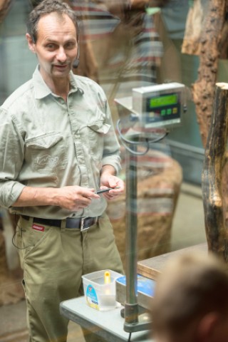 NRZ-Leser blicken im Zoo Duisburg hinter die Kulissen.