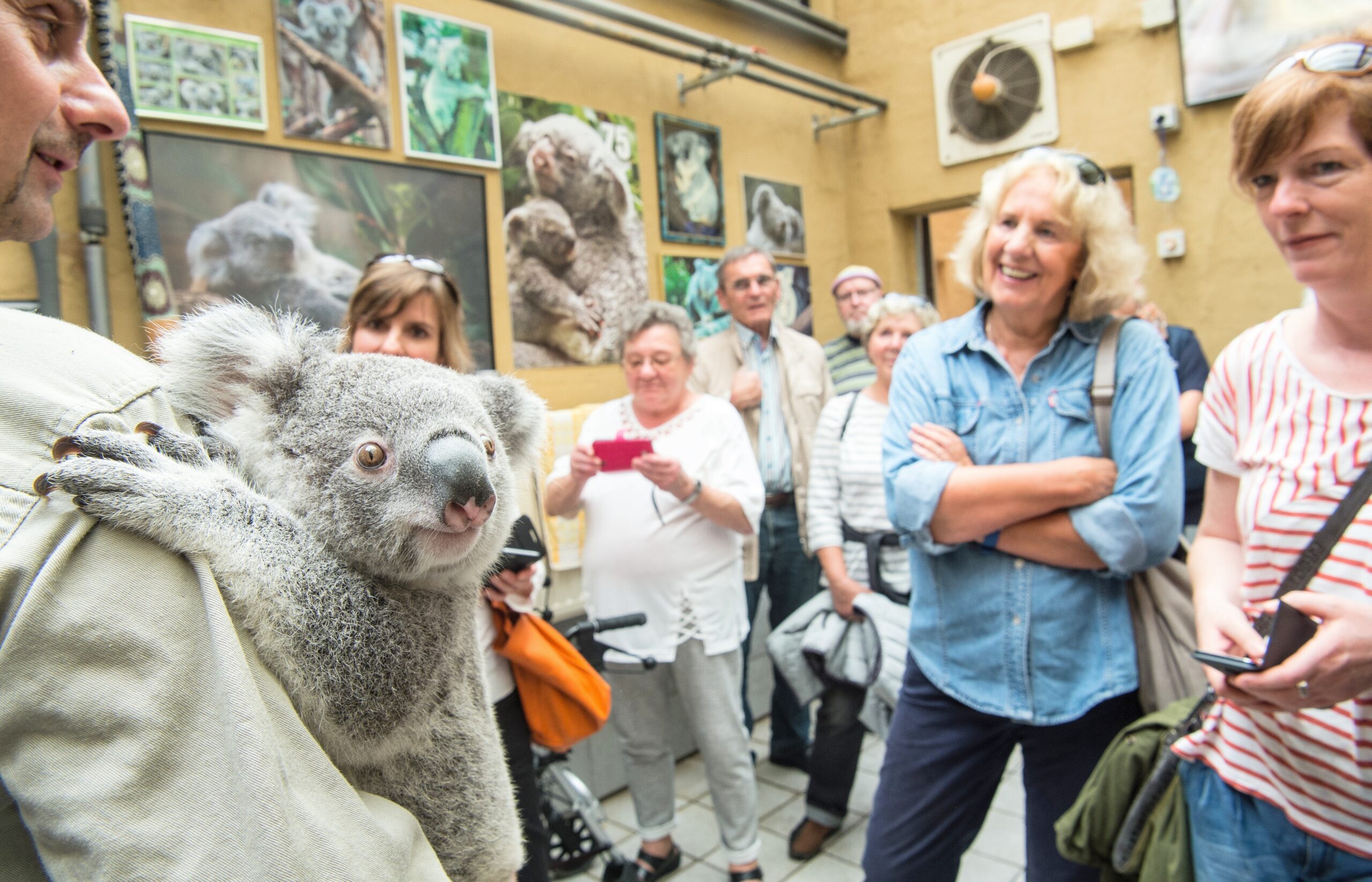 NRZ-Leser blicken im Zoo Duisburg hinter die Kulissen.