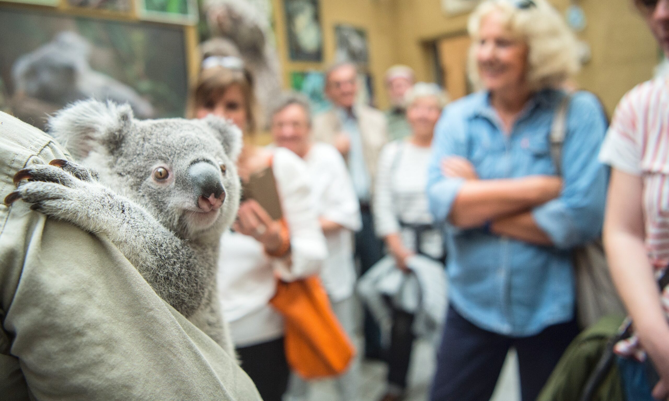 NRZ-Leser blicken im Zoo Duisburg hinter die Kulissen.