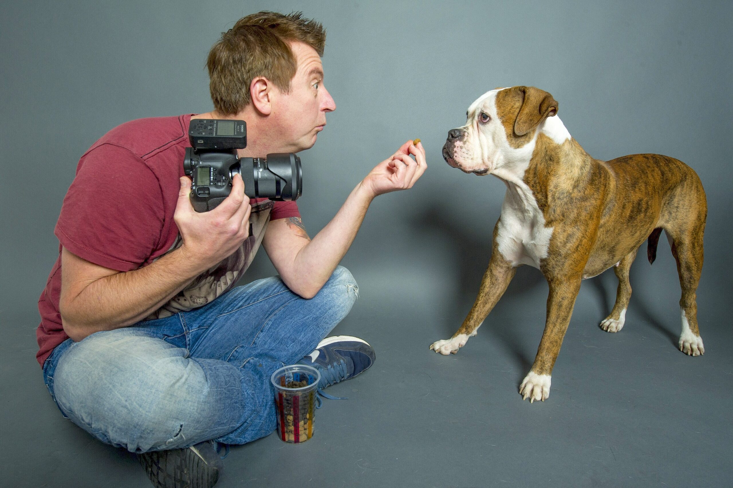 ...während zum Beispiel Lotti, ein 33kg schwerer Doggenmix, ein schwieriger Fall ist: Sie hat vor fremden Menschen, Gegenständen und Geräuschen Angst und pinkelte dem Fotografen direkt mal das Studio voll.